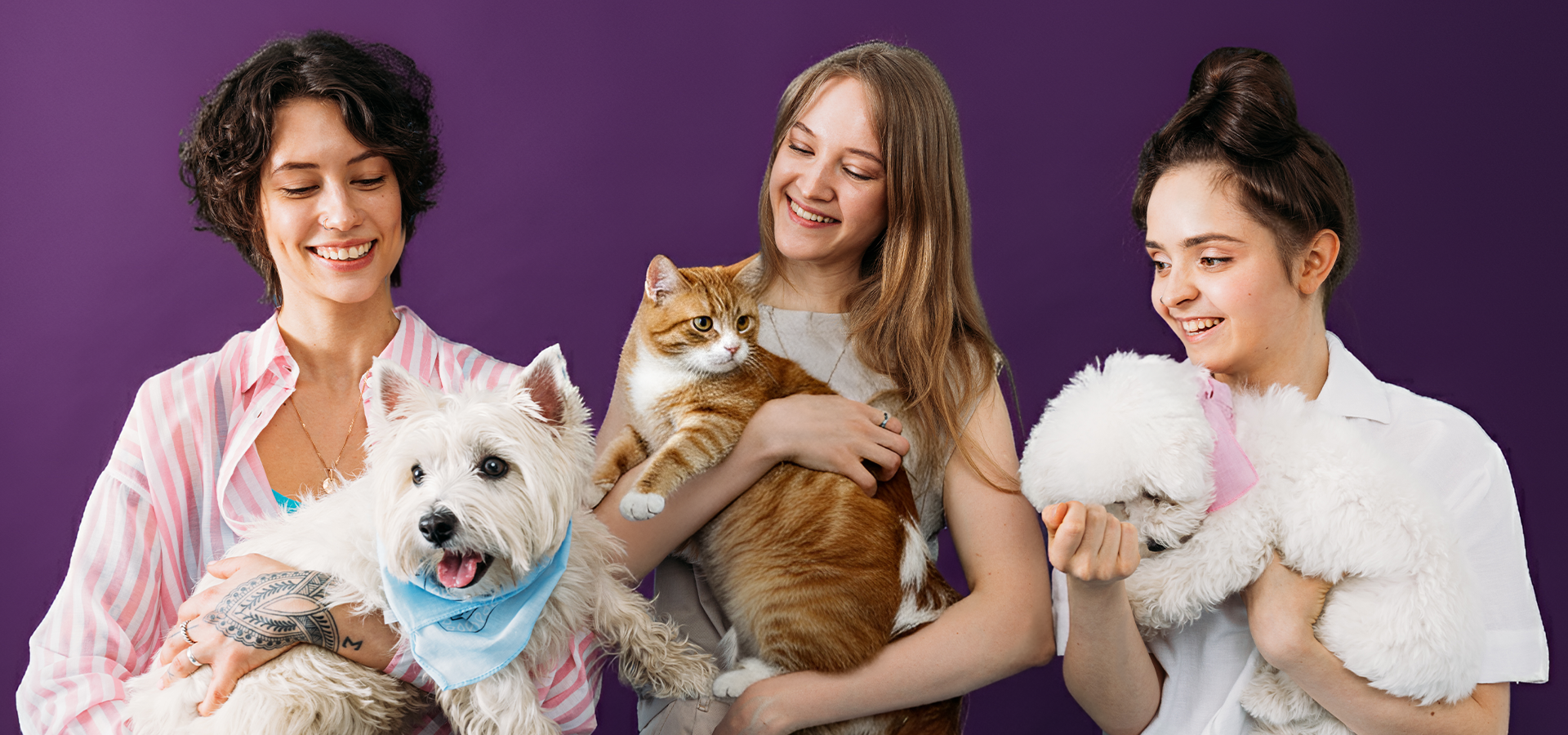 slider image slider_item_ARHexn