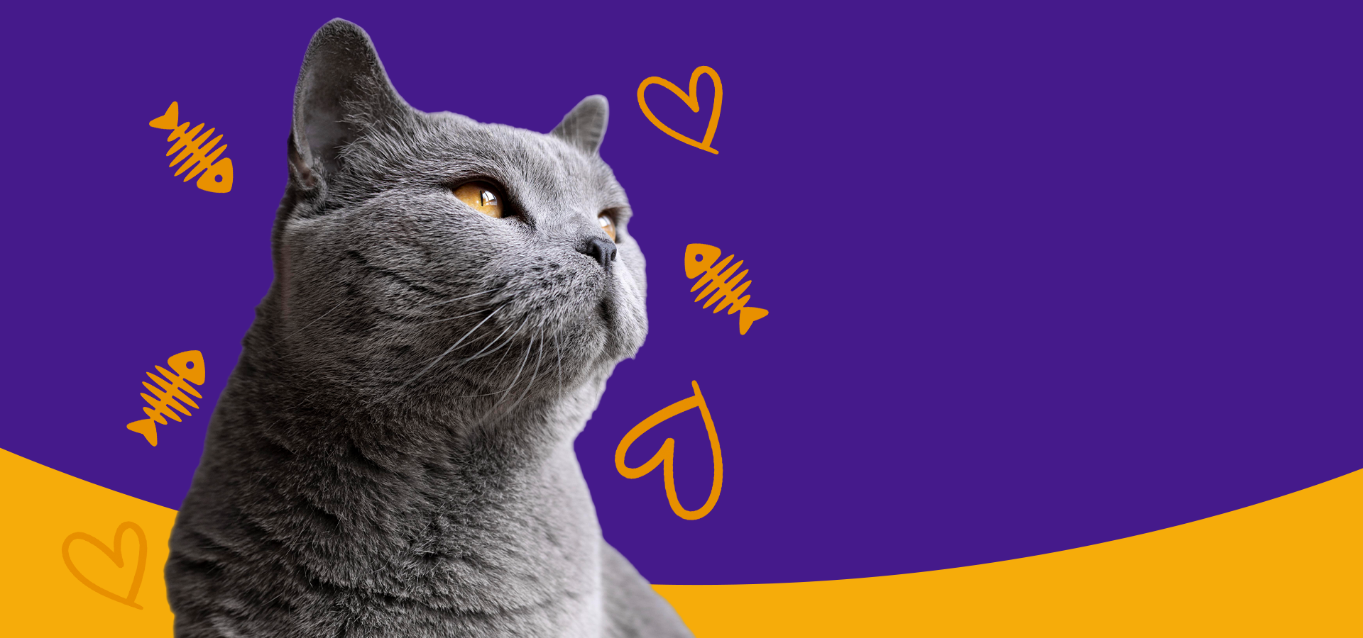 slider image slider_item_Pi6cw4