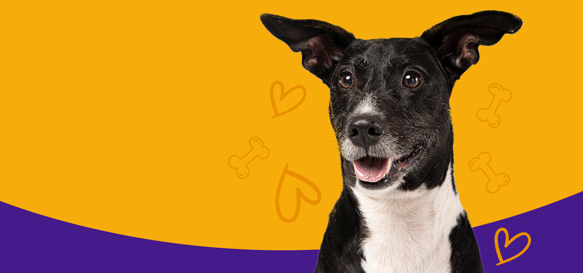 slider image 1621243260e1af0c20-2